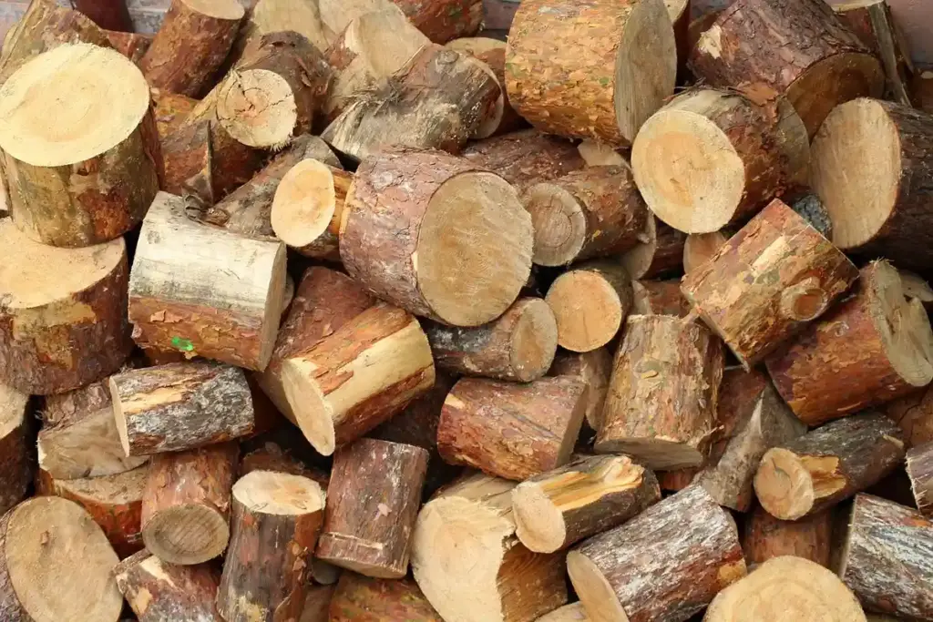 What Makes Osage Orange, Yew, and Sassafras Hazardous to Woodworkers?