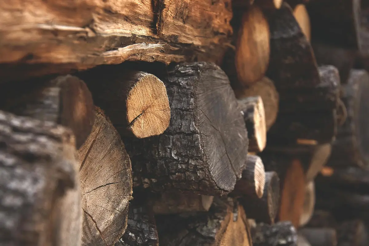 Stack of round logs with exposed end grain and bark, showing natural texture and grain variations