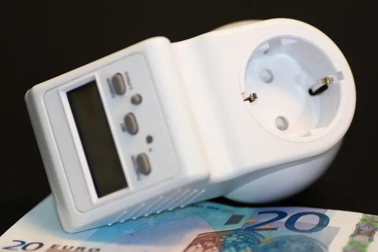 White handheld wood moisture meter with a digital display placed on top of euro banknotes.
