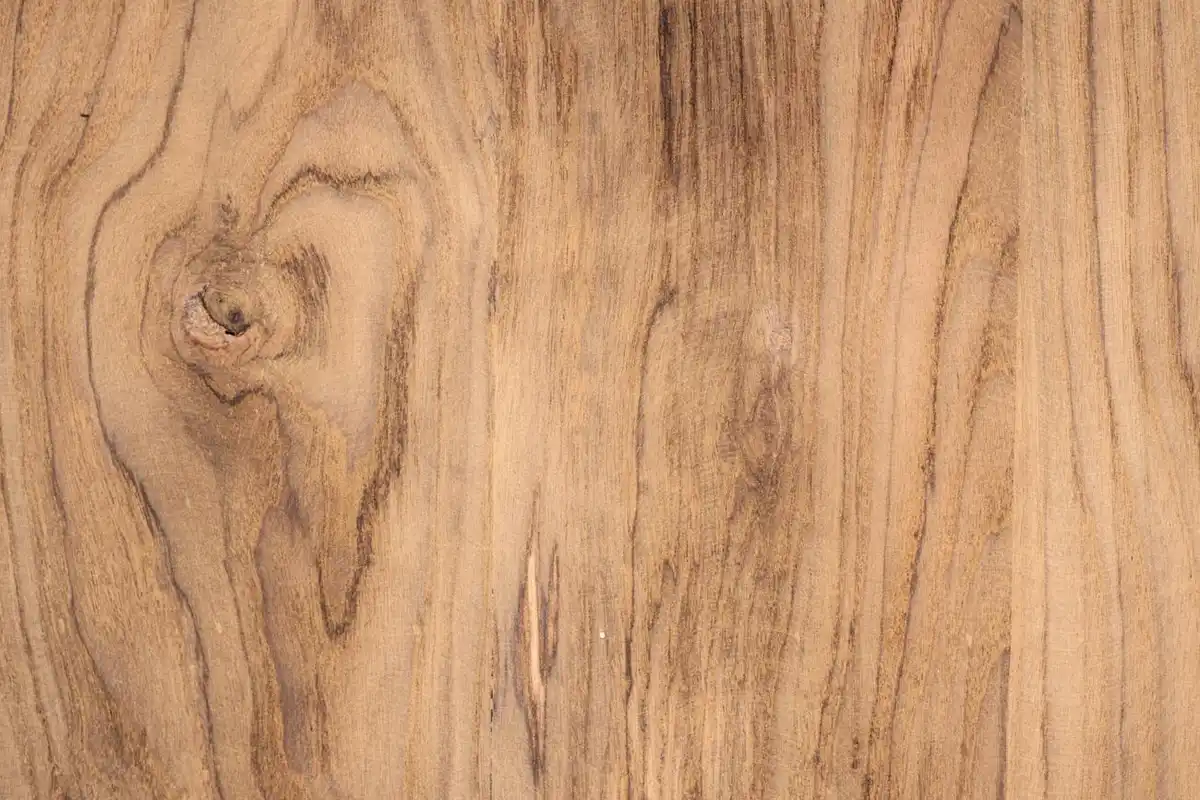 Close-up of wood grain showing natural pores and grain patterns.