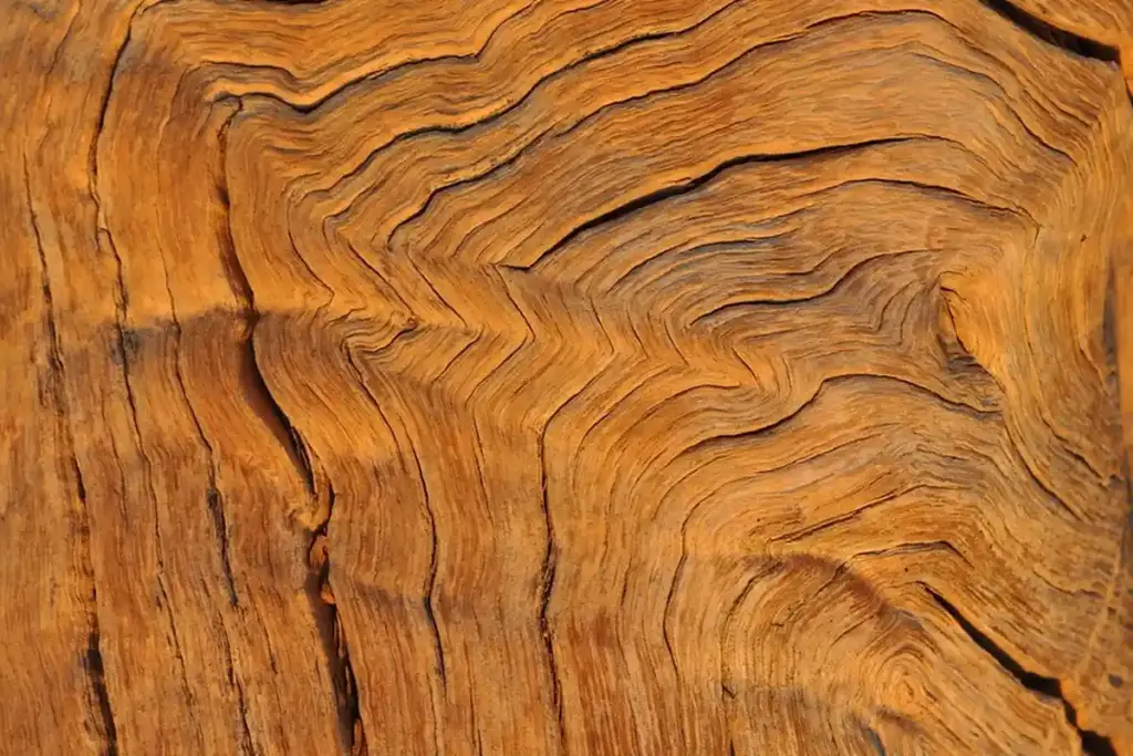 How Do You Calculate Wood Movement: Radial vs. Tangential Shrinkage?