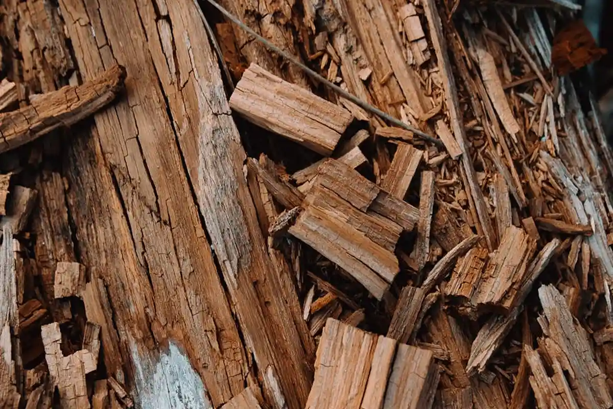 Close-up of brown, rough-cut wood scraps and chips