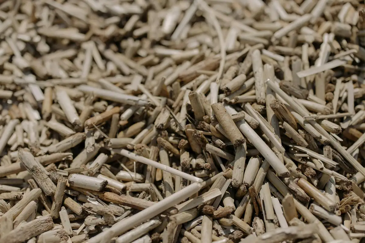 Close-up view of scattered wood shavings and fibrous wood particles