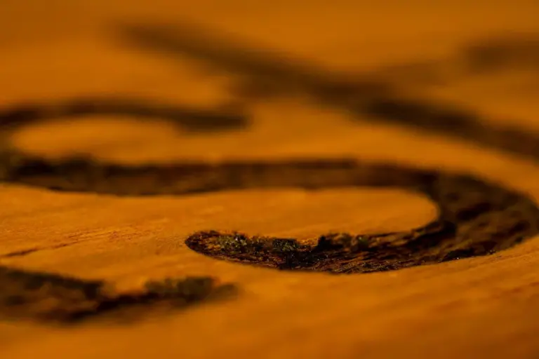 Close-up of orange-toned wood grain with darker streaks