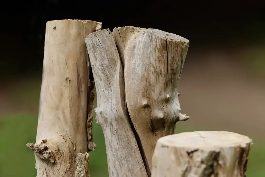 Bamboo vs. Hardwood: A Materials Showdown for Your Shop