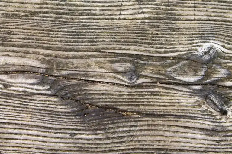 Close-up of weathered wood grain with pronounced growth rings and knots.