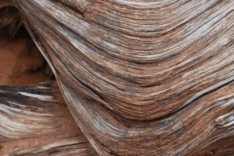 Close-up of layered wood veneer grain with flowing, curved lines in warm brown tones.