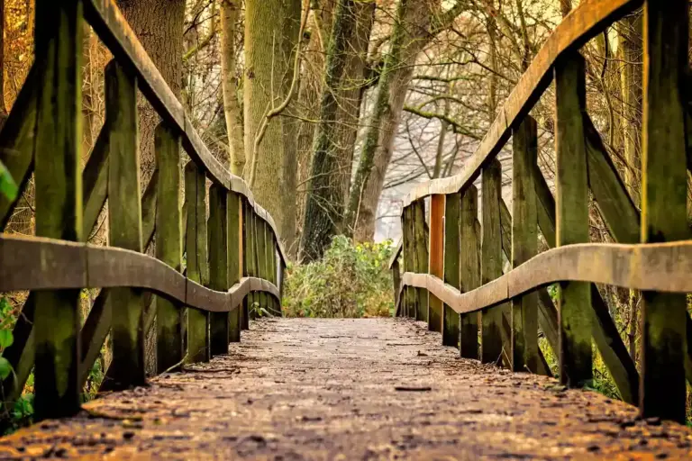 Low-angle view of a weathered wooden bridge with leaves scattered on the planks, surrounded by trees in a forest.