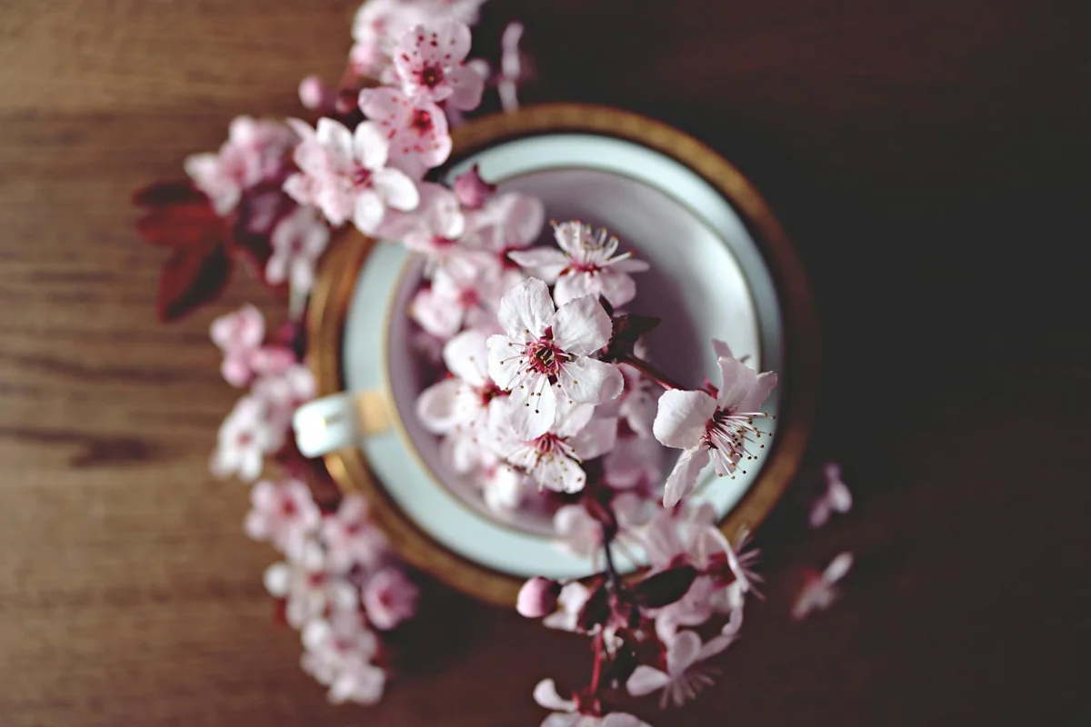 Close-up of pink cherry blossoms spilling from a cup onto a wooden surface, warm and soft lighting.